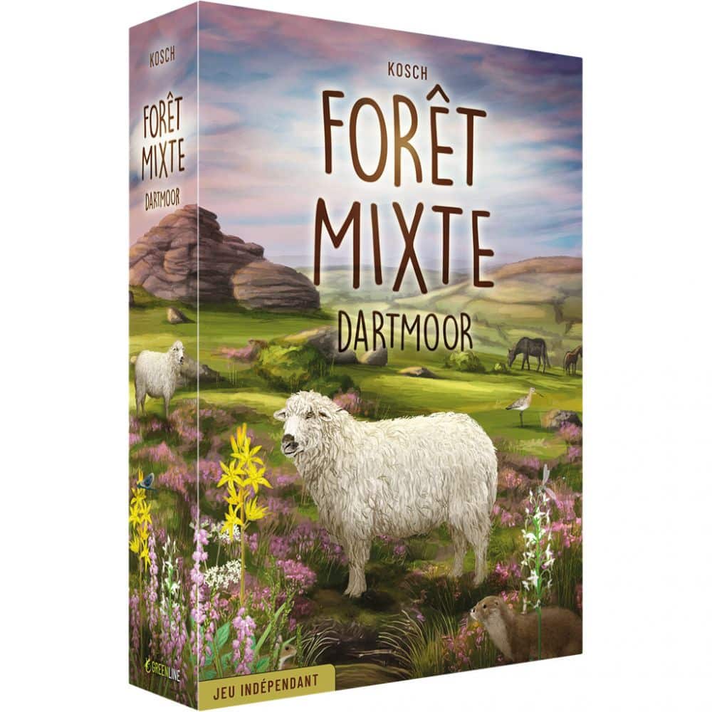 forêt mixte : dartmoor