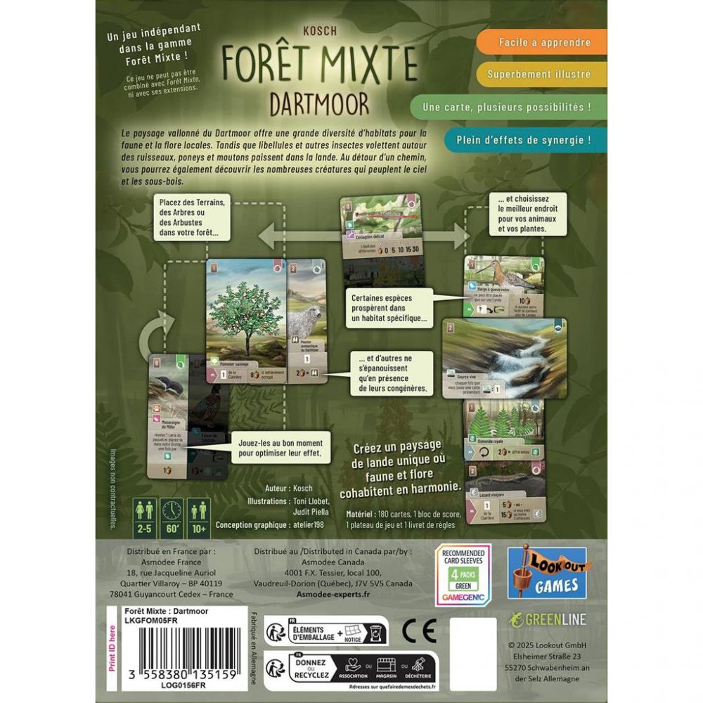 Forêt Mixte : Dartmoor - forêt mixte : dartmoor