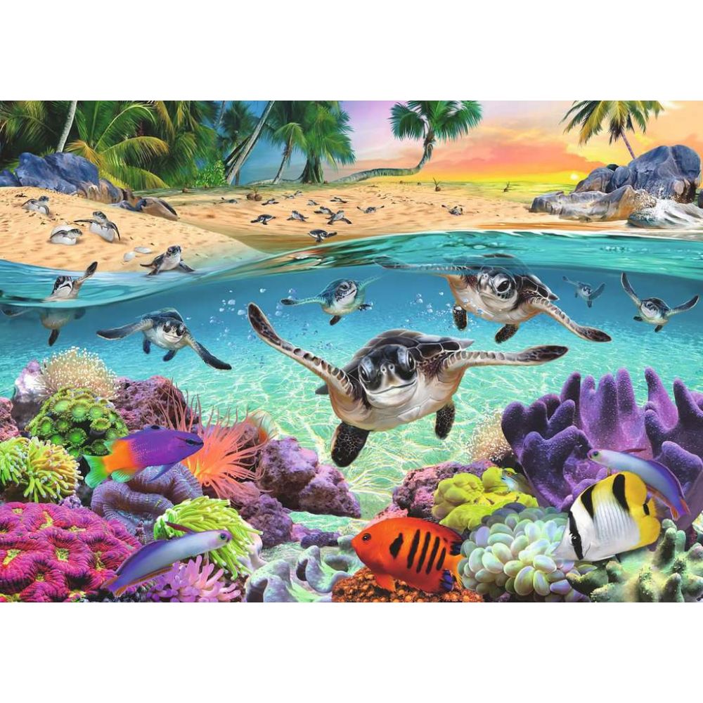 Puzzle - Bébés Tortues Mer : 500 pièces - puzzle bébés tortues mer 500 pièces